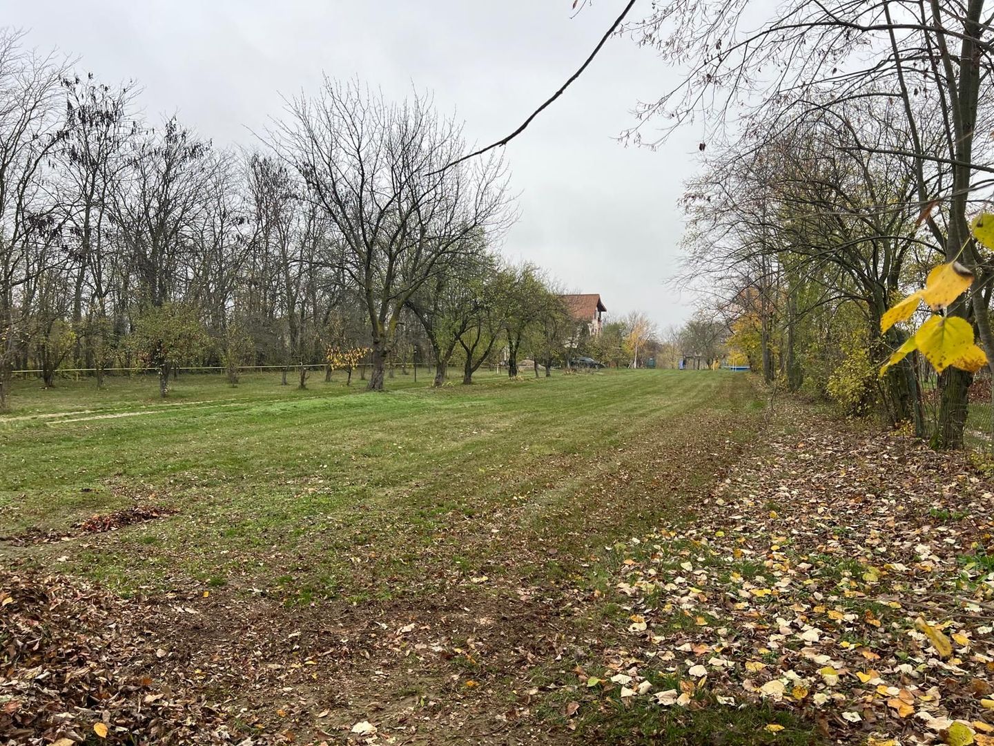 Teren cu deschidere la lac I Snagov - Poză 15