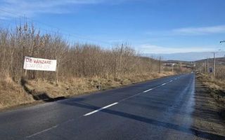 Vânzare teren Poieni Iasi 15.000 mp sau parcelat - Poză 5