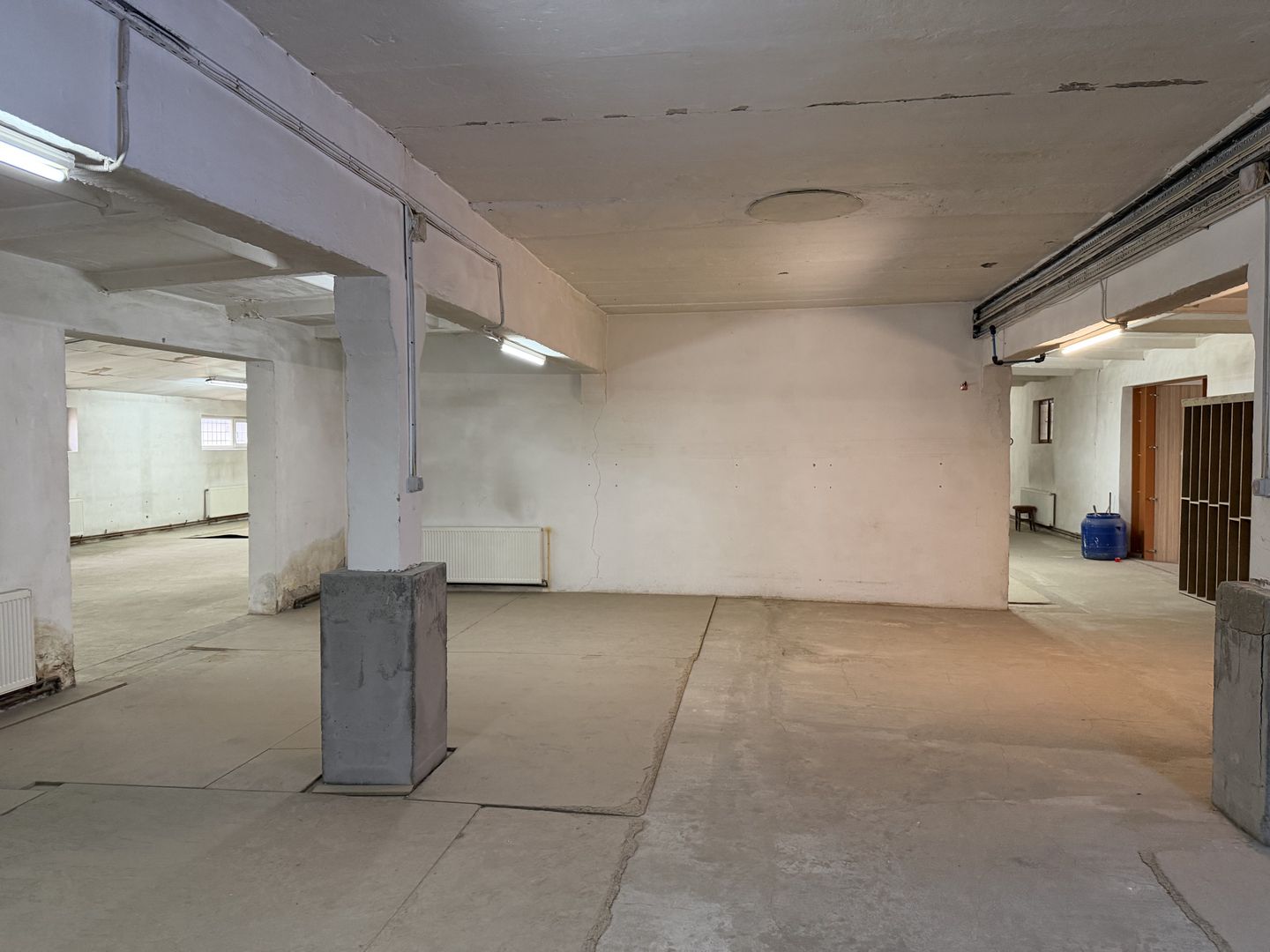 Hală industrială cu poziționare strategică în Giarmata - Poză 11