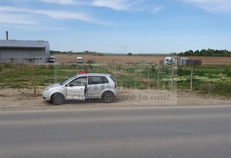 TEREN TOMESTI 1350 MP - Poză 2