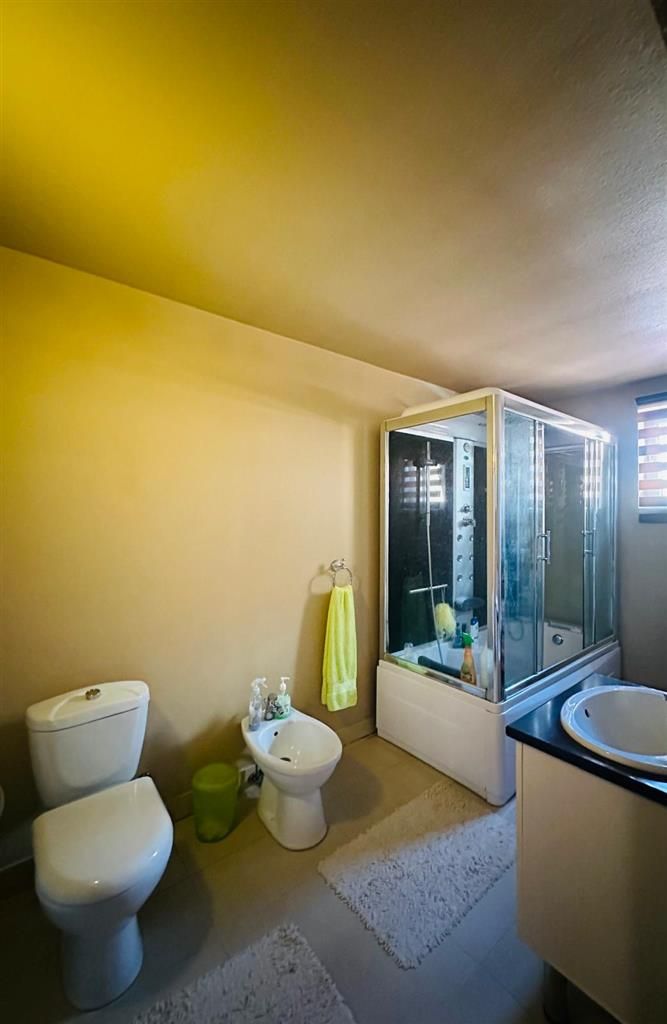 Vila remarcabila+casa boiereasca,in pretios areal de 2.100 mp, Santana de Mures - Poză 35