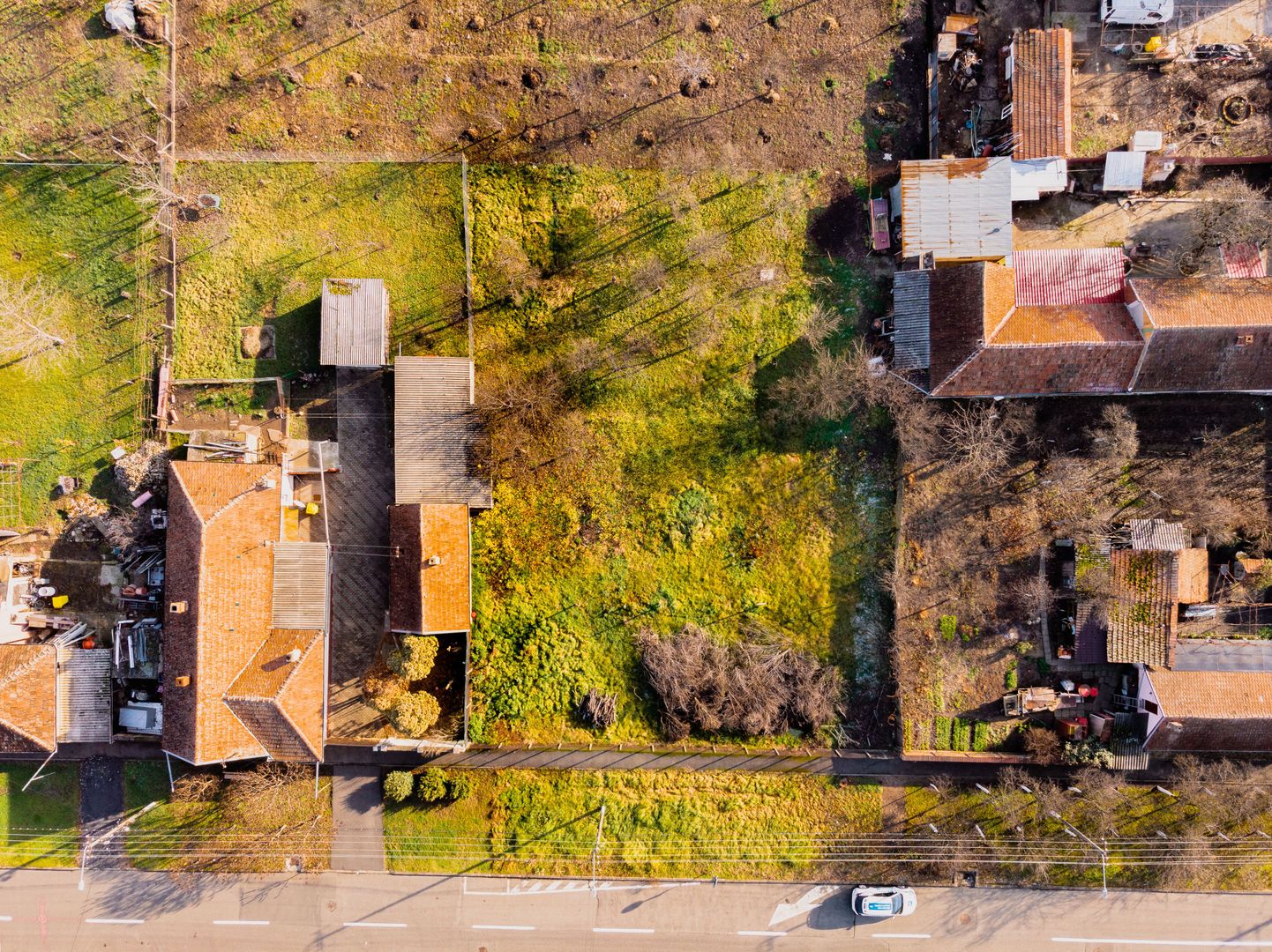 Teren intravilan Sanicolau Mic - Poză 12