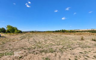 Teren intravilan, 7100 mp, Lipova - Poză 1