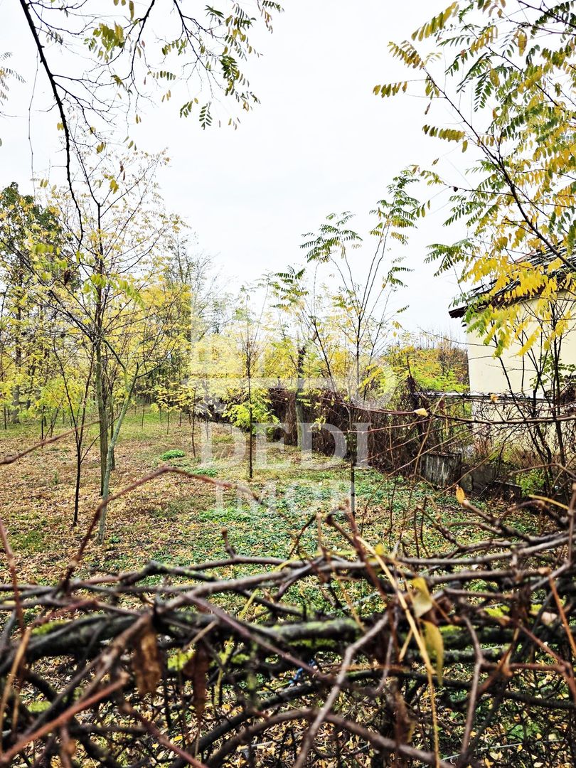 Casa de vanzare cu teren de 1532 mp in satul Berini, Timis - Poză 7