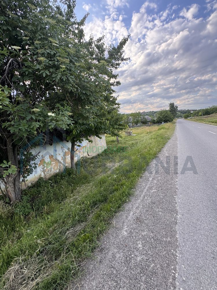 Teren intravilan de 6000 mp in Coarnele Caprei, Valea Babei, cu iesire la strada principala - Poză 3