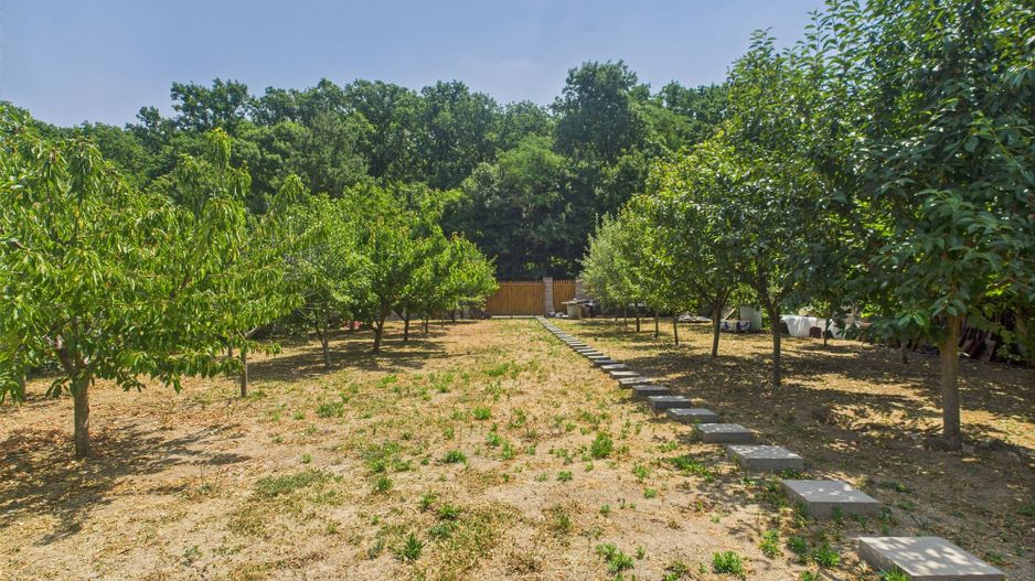 Teren edificabil 1106 mp – Dumbrăvița - Poză 2