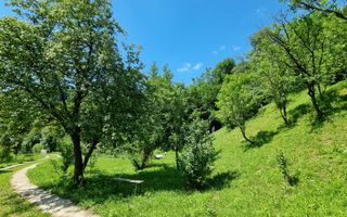 Casa de la marginea padurii! - Poză 10