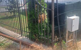 TEREN intravilan  Balciu - MIROSLAVA , 709 MP, 77.990 EURO - Poză 5