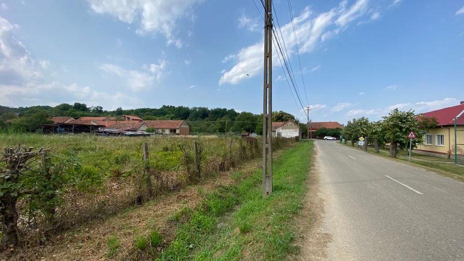 Teren Zgribesti numai 5 euro/mp - Poză 3