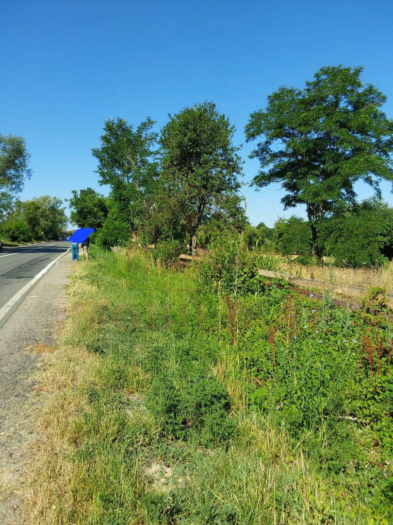 TEREN INTRAVILAN ZĂVOI\ZONA VALEA BISTREI, JUD.C-S - Poză 7