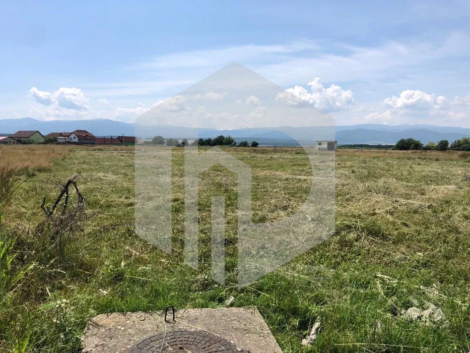 Teren de vanzare - Spate Metro - 1235mp - Intravilan - Poză 4