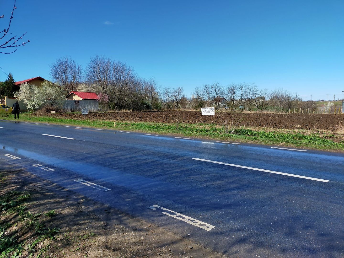 Teren de vânzare în Dascalu, judet Bucuresti Ilfov - Poză 3