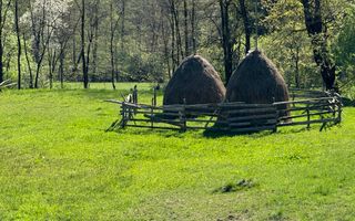TEREN INTRAVILAN 2592 MP,  ALBESTI DE MUSCEL, ARGES - Poză 8
