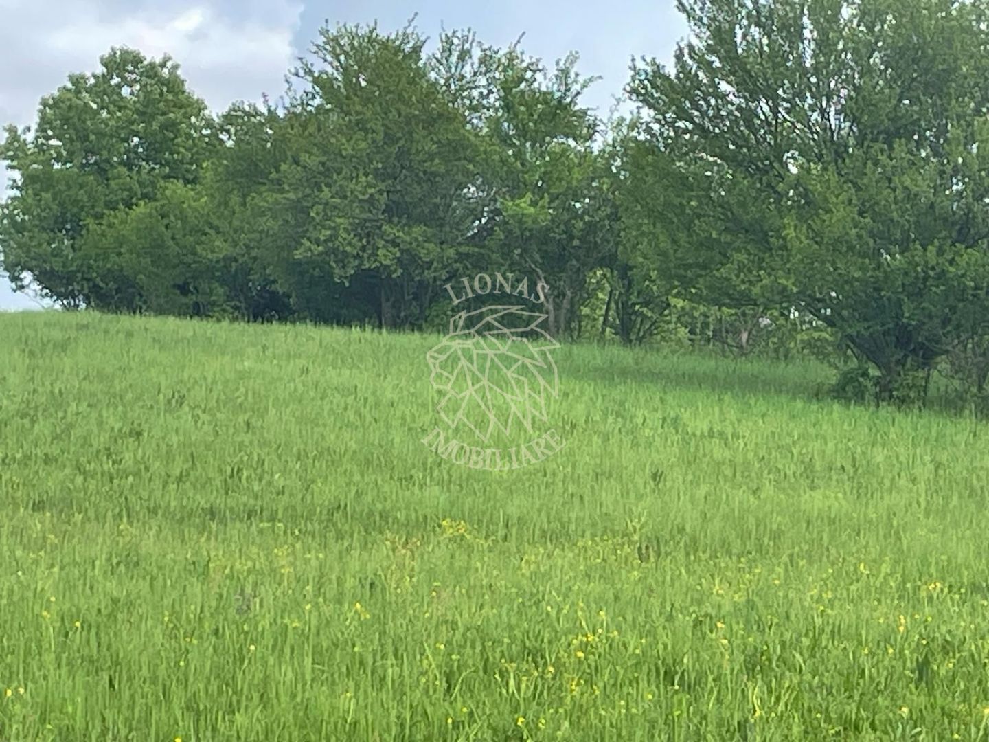 Teren intravilan 631 mp cu utilitati-ideal casa-Sigmir - Poză 4