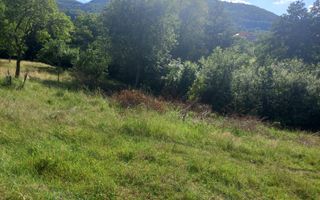 Teren în Fântânele – 3.673 mp, pârâu si cadru natural  deosebit - Poză 2