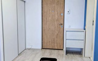 2 camere, Intre Lacuri str. Tarnavelor Zona Aurel Vlaicu, 18 GYM - Poză 8