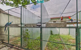 Casă cu 4 camere și teren de 1.910 mp în Macea - Poză 26