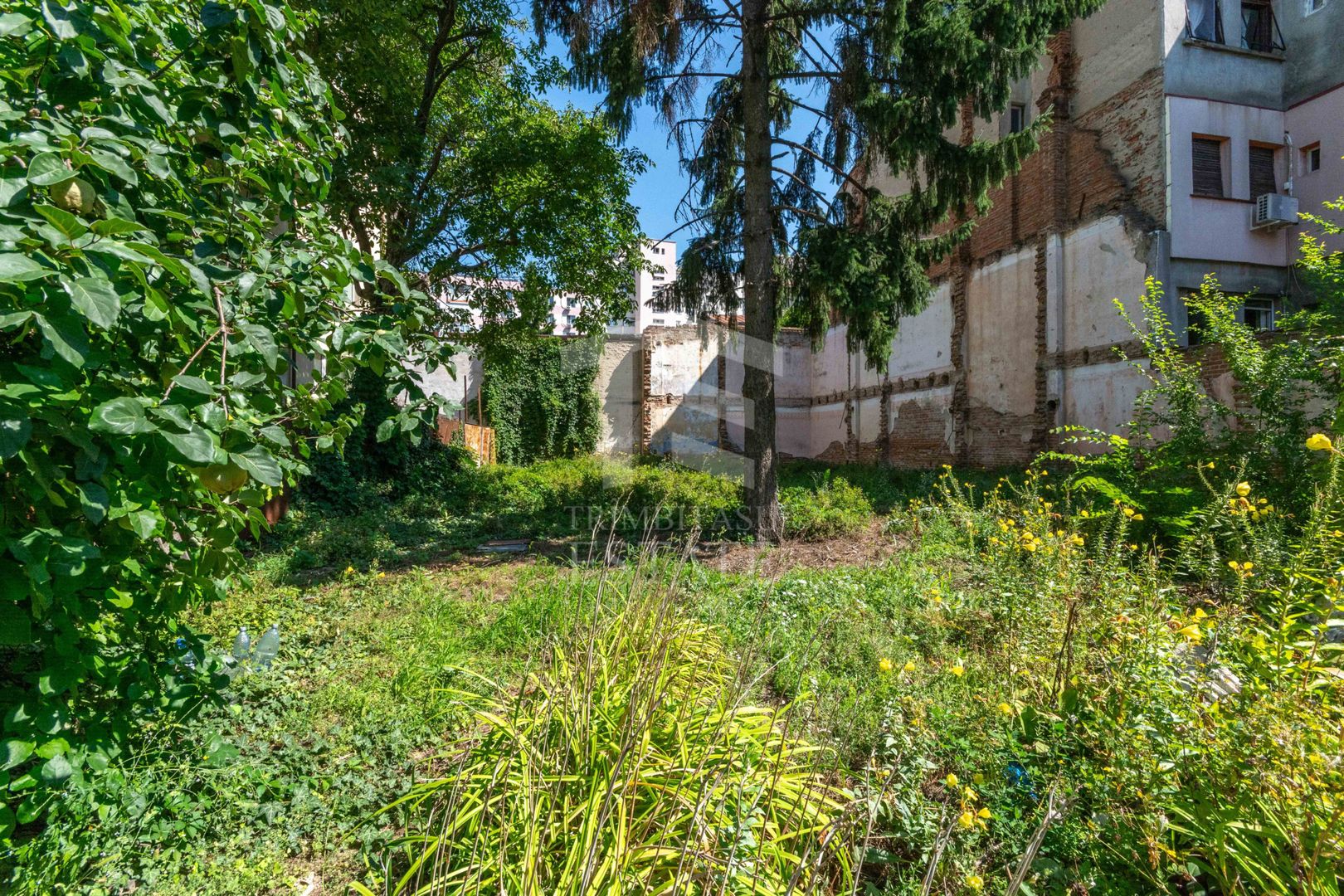 Stefan cel Mare - Tunari - Barbu Mumuleanu teren 381 mp - Poză 3