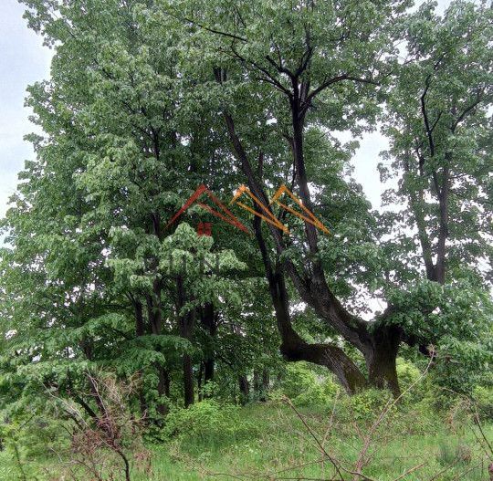 Teren 2500 mp, acces drum asfaltat, Bustenari, Telega Prahova - Poză 6