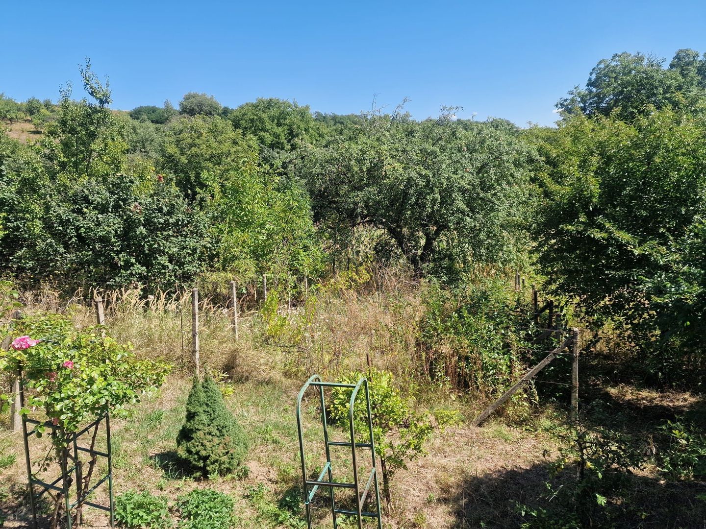 Casa in mediu rural cu teren - Poză 23