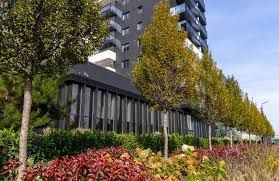 NORD PROMENADA PIPERA - APT 1, 2,3  CAM DE VANZARE PREMIUM RO/EN/FR - Poză 3