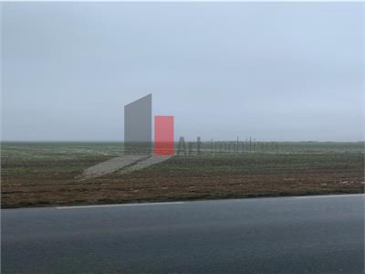 Vanzare Teren 22 509mp  Tunari - Dimieni - Poză 8