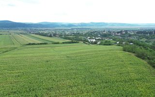 Teren de 3.600 mp Racova - Poză 7