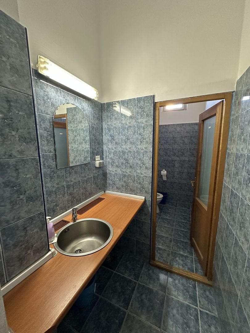 Spatiu comercial Calea Aradului - Poză 15