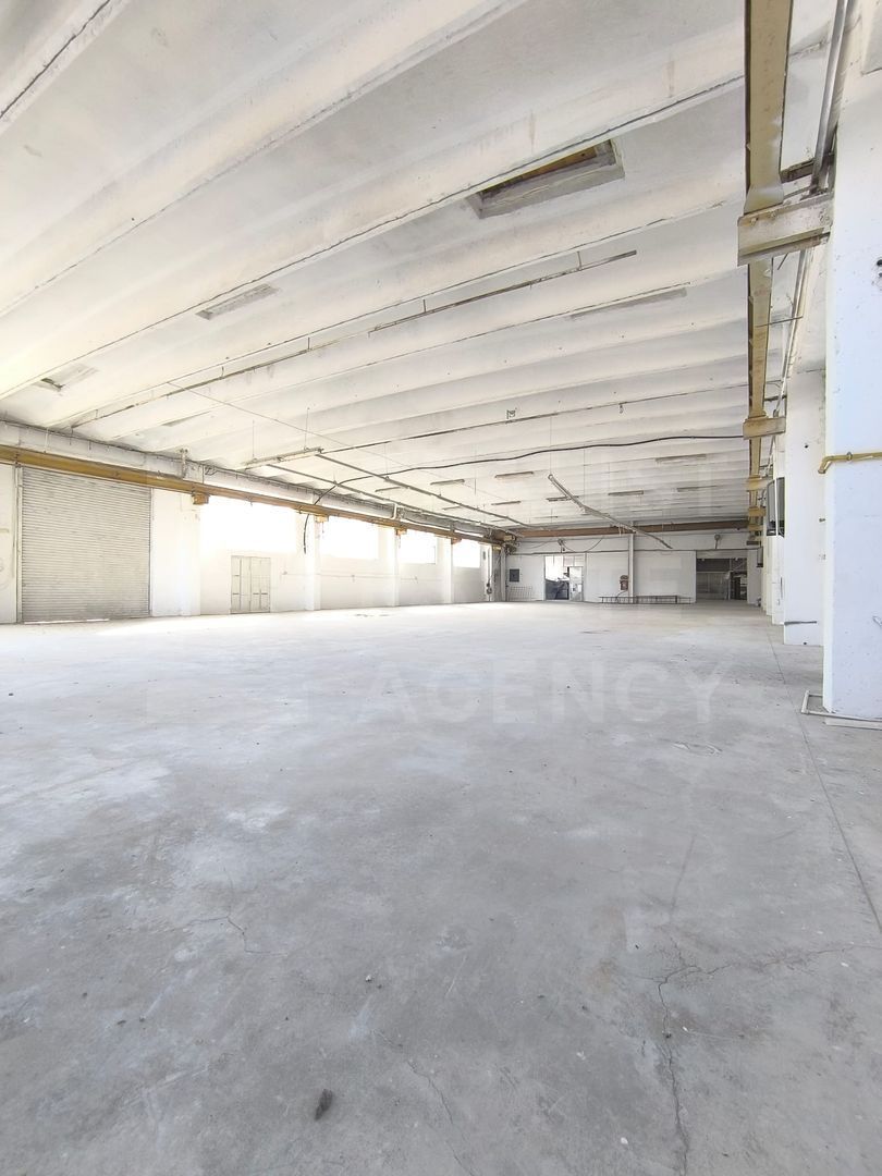 Hală de vânzare – Parcul Industrial Tohanul Vechi, Zărnești - Poză 3