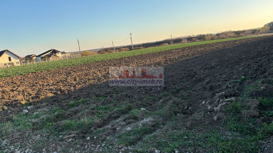 Vanzare teren constructie casa Snagov Sat Izvorani , Jud Ilfov - Poză 5