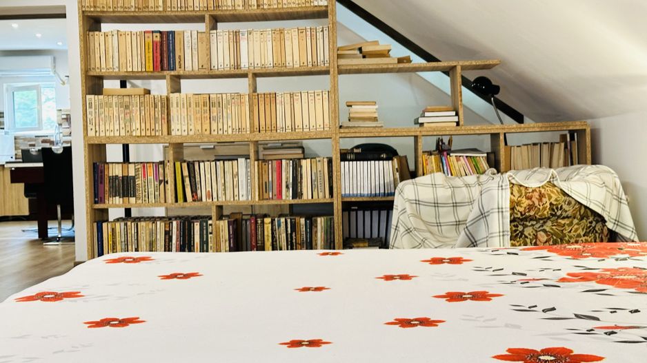 Apartament spatios cu 2 camere, in Vila apartamentata - Take Ionescu - Poză 13