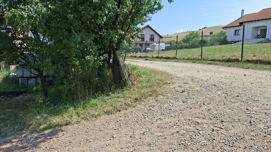 Teren de vanzare in Valcele - Poză 5