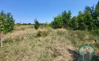 P 1148 - Casă cu 5 camere în jud. Mureș, Ungheni - Poză 16