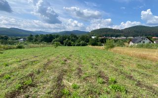 Teren Intravilan | 25 Ari | Voievodeasa - Poză 1