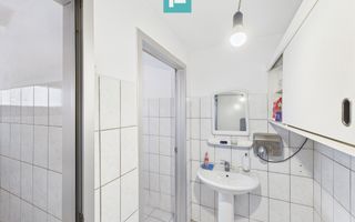 Hală de producție, cu birouri și teren, în Sebiș - Poză 22