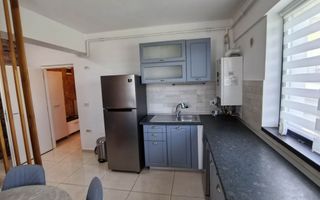 Apartament 2 camere de inchiriat, zona Pepinierii, Valea Adanca - Poză 7