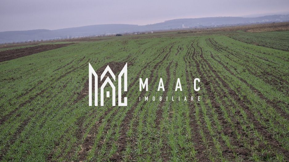 Teren extravilan | Gura raului | 2250 MP - Poză 2