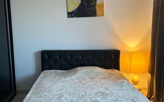 Sau/închiriez casa P+1E capătul Comunei Berceni Mănăstirea Sf. Treime - Poză 5