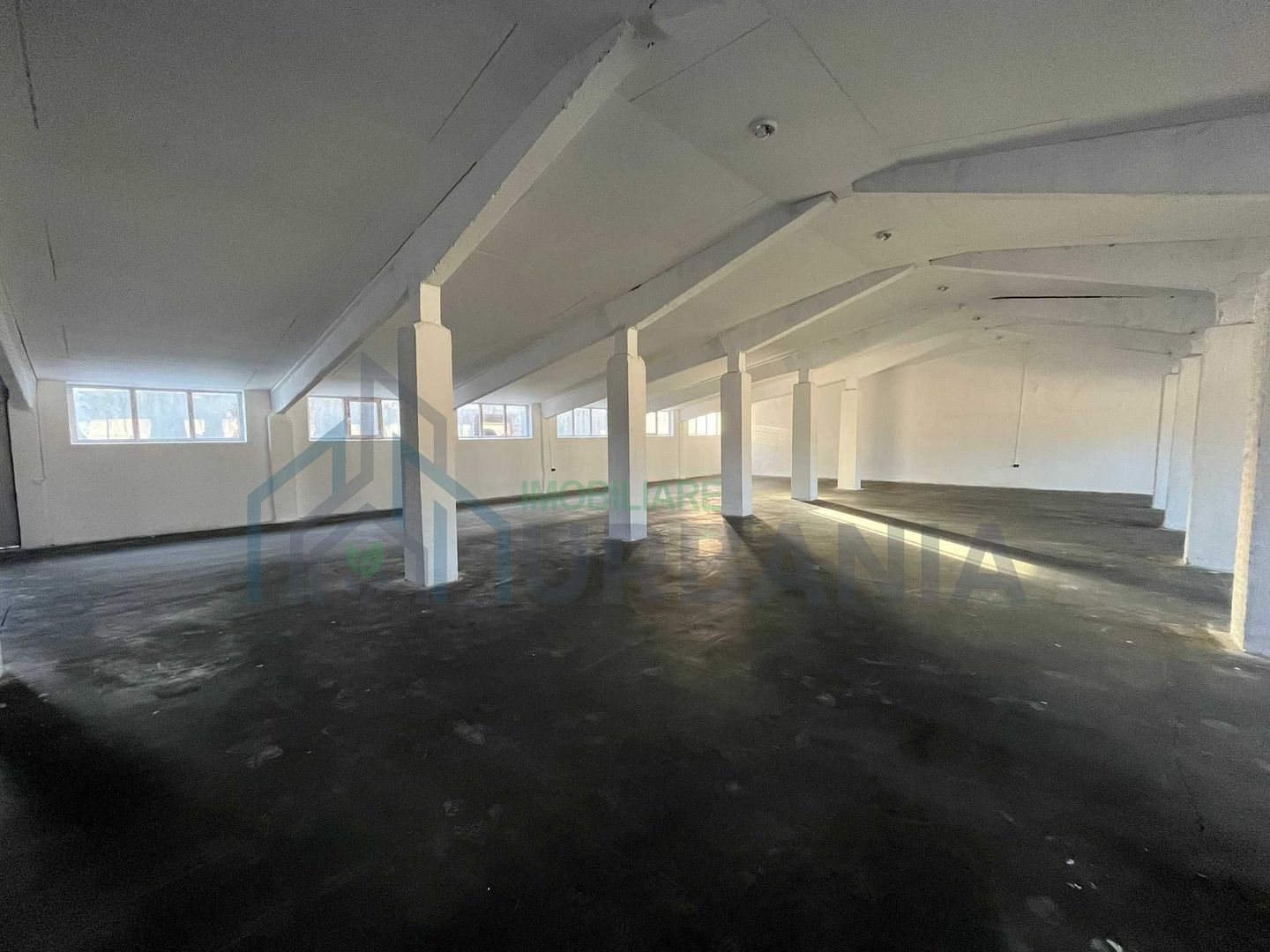 Hale industriale de închiriat în Tomesști, Iași, pentru depozitare și producție - Poză 1