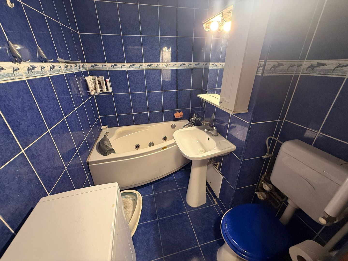 Apartament 3 camere Lacul Tei Teiul Doamnei - Poză 10