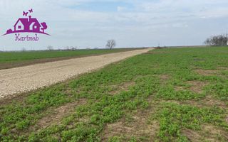 Teren industrial pentru hale - Poză 3