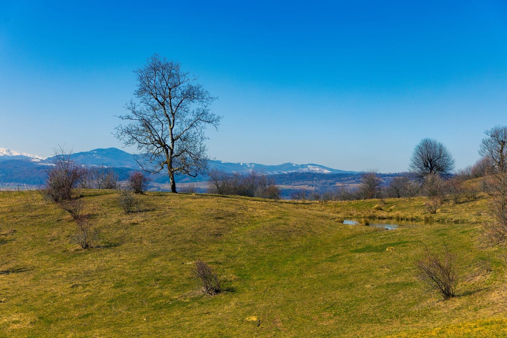 Teren 6 Hectare cu PUZ pentru Resort Turistic panorma Muntii Piatra Craiului - Poză 7