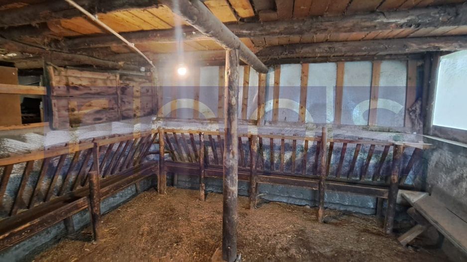 VANZARE CASA | TEREN 2.500 MP | LIVADA SI GRADINA | COMUNA BEUCA, TELEORMAN - Poză 10
