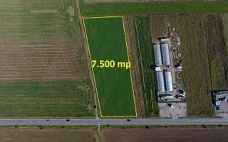 Teren comercial/industrial | 7.500 m² | strada Zizinului - Poză 7