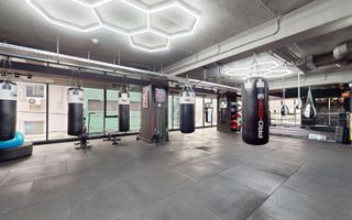 Spatiu birouri | Sala sport | Box Gym | Caranfil - Poză 3