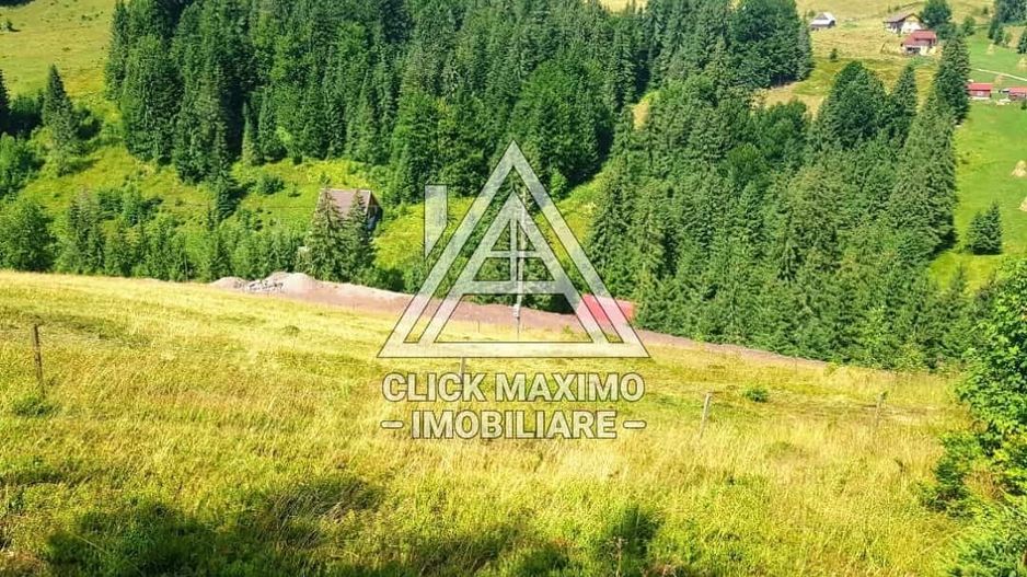 7130 mp TEREN INTRAVILAN ARIESENI-ALBA langa viitoarea partie de SCHI - Poză 4