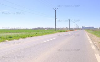 Unicat ! Dascalu, 65.000 mp. teren cu deschidere de 102 ml. la DJ 200 - Poză 3