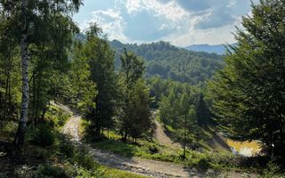 18000 mp de natura pura ,Lupeni, langa Straja - Poză 5