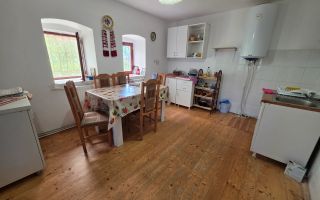 COMISION 0% Casa cu teren generos | 7050mp | Pianu de Sus - Poză 8