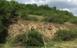 Teren intravilan 1550-Dealul Jelnei -schimb cu garsoniera - Poză 3